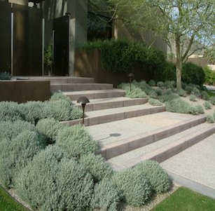 Desert Art House Garden Palm Desert